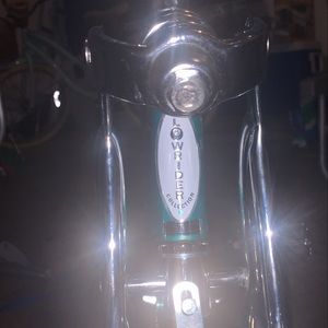 Low rider 20 inch bike brand new